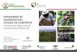 Presentación de PowerPoint - CCPY · 2016. 10. 4. · ACTIVIDADES DEL PROGRAMA DE INVERSIÓN Promover la producción sustentable • Sistemas Silvo Pastoriles • Agricultura de