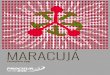MARACUJÁ - Procisur...4 A maioria das espécies de maracujá tem origem na América Tropical, envol-vendo o Brasil, Colômbia, Peru, Equador, Bolívia e Paraguai, embora exis-tam