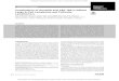 Combination of Ibrutinib and ABT-199 in Diffuse Large B ... · Small Molecule Therapeutics Combination of Ibrutinib and ABT-199 in Diffuse Large B-Cell Lymphoma and Follicular Lymphoma