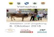 swissherdbook - swissherdbook - Viehschau...2018/10/06  · Klee Fredi & Andrea, Sattlerei, Oberegg Kleiner Elektro AG, Rebstein Krieger Stalleinrichtung,Ruswil Kroni Locher u. Co.,