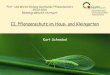 II. Pflanzenschutz im Haus- und Kleingarten · 2016. 3. 4. · Thiacloprid Bayer Schädlignsfrei Calypso Blattläuse ZB/GB/OB Wirkstoff von Calypso Acetamiprid Schädlingsfrei Careo