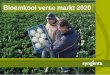 Bloemkool verse markt 2020 - Syngenta Nederland · 2019. 12. 9. · Knolvoetresistentie Knolvoet (Plasmodiophora brassicae) kan leiden tot grote schade in koolgewassen en kan meer
