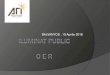 BALVANYOS , 19 Aprilie 2018 - OERoer.ro/wp-content/uploads/05.-ARI_-Iluminat-Public-OER... · 2019. 12. 10. · SR EN 13201-4:2016 Iluminat public. Metode de măsurare a performanțelor