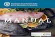Manual de Elementos básicos para la compra, preparación y … · 2021. 2. 8. · cuidadores de familia y a los distribuidores de pescado colombianos este manual de elementos básicos