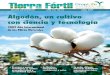 REVISTA INFORMATIVA AñO VIII, NO 34 AbRIl 2009 Algodón, …• Asociación de Fabricantes e Importadores de Productos Agroquímicos de República Dominicana, (AFIPA) • Cámara