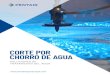 CORTE POR CHORRO DE AGUA - pentairaquaeurope.com · 2020. 12. 4. · hasta 1/1000 de micra, a alta velocidad, ofreciendo la máxima protección para las costosas boquillas de corte