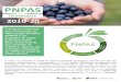 Nutrimento, Blog Oficial da Alimentação Saudável - PNPAS · 2020. 12. 28. · na alimentação dos portugueses. Campanhas para a promoção da alimentação saudável alimentacaosaudavel.dgs.pt