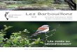 Les Barbouillons - Les Naturalistes de la Haute-Lesse · 2020. 10. 1. · Les Barbouillons n° 312 || Octobre-Décembre 2020 5 Prochaine réunion du Comité : vendredi 11 décembre