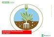 Ruminant - TN Türkiye · 2014. 10. 24. · bakımından zengin organik gübre haline getirmeleri için yeterli olacaktır. • Bitki ve hayvanları bir arada yetiştirmek aralarında