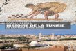 Histoire de la Tunisieles présentent, même si leurs particularismes sont attribués à des facteurs différents selon les auteurs et les périodes. La petitesse et la platitude de