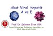 Akut Viral Hepatit A ve E · 2016. 6. 8. · Akut Viral Hepatit A ve E Prof.Dr.ebnem Eren Gök ... bağlı akut böbrek yetmezliği Aplastik veya hemolitik anemi Agranülositoz Trombositopenik