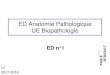 ED Anatomie Pathologique UE Biopathologie...Cas clinique n°1 . Contexte clinique • Homme de 58 ans, DNID, fièvre à 39°, toux avec expectoration, douleur basi-thoracique, gêne