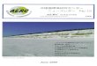 これからの北極研究のあり方について - NIPRAERC Newsletter No.12 2 これからの北極研究のあり方について 渡邉 興亜 （日本学術会議 極地研究連絡委員会・北極研究小委員会委員長、IASC日本代表）