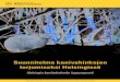 Suunnitelma kanivahinkojen torjumiseksi Helsingissä · 2011. 9. 29. · sekä villikanien aiheuttamat tuhot ja niiden torjunta” päättyi 2009. Tulokset tutkimuksesta ja kehittämishankkeesta