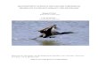 RECENSEMENT NATIONAL DES GRANDS CORMORANS ...files.biolovision.net/...Compte tenu des menaces pesant sur la sous-espèce continentale de Grand cormoran Phalacrorocax carbo sinensis
