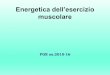 Energetica dell’esercizio muscolare · 2016. 1. 14. · energetico ed esercizio fisico 13 Fonti energetiche della contrazione Gr I: sostanze utilizzate direttamente ... Energetica