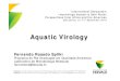 Aquatic Virology - ABCPeixes Piava (Leporinus obtusidens) Gene da proteína vp6 PCR 38 SINOS River. Rotavirus Rotavírus Controle + Ponto 1 ‐ 