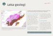 Leka geologi...2017/12/06  · Zirkon fra kvartskeratofyren er 497 millioner år gammel, og har blitt tolket til å representere alderen på Lekaofiolitten. Profil av Lekaofiolitten