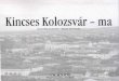 Kincses Kolozsvár – ma · A „Kincses Kolozsvár – ma” címet viselő tanulmánykötet a nagyon gyorsan változó gazdasági környezetben vizsgálja Kolozs megye és Kolozsvár