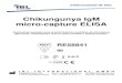Chikungunya IgM micro-capture ELISA · 2017. 10. 6. · Chikungunya IgM micro-capture ELISA (RE58841) ESPAÑOL VN 05072017 2 / 8 4. MATERIALES 4.1. Reactivos suministrados MTP Microplaca