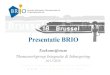 BRIO ToekomstForum 261120DK2 ... Presentatie BRIO Toekomstforum Themawerkgroep Integratie & Inburgering