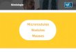 Micronodules Nodules Masses · 2018. 6. 4. · -Lymphangite carcinomateuse • C. Hématogène - Miliaires infectieuses ou néoplasiques Sémiologie