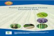 Hama dan Penyakit Utama - BPTP Lampung...Pada stadia vegetatif sering ditemuai hama siput murbai, ganjur, tikus, penggerek batang, wereng coklat, hama penggulung daun, ulat grayak,