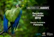 Presentación de PowerPoint · 2020. 3. 27. · Dirección Provincial de Pichincha Logros de la Gestión Unidad de Patrimonio Natural: Forestal • 122 Operativos realizados que permitieron