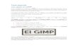 Parte segunda Las capas en GIMP - Gobierno de Canarias · 2020. 2. 17. · Haciendo clic en este botón GIMP nos da acceso a la creación de una nueva capa. Grupo de capas. Nos permite