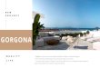 GORGONA - Fuerteventura Re 2021. 2. 7.¢  GORGONA NEW P R O J E C T Q U A L I T Y L I F E Gorgona £¨