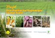 Profil - Pertanian · 2016. 5. 20. · Buku profil ini memuat informasi tentang sejarah singkat Puslitbang Tanaman Pangan, mandat, visi dan misi, struktur organisasi, program penelitian