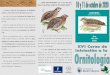 Las aves, indicadores de calidad de - Madridejos · 2020. 10. 2. · celebra su XVI edición del Día Mundial de las Aves. Las aves son los mejores indicadores del estado de sa-lud