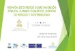 REUNIÓN DE EXPERTOS SOBRE INVERSIÓN PÚBLICA, CAMBIO … · 2019. 5. 31. · 2. Integración de la respuesta al cambio climático, gestión de riesgos y sostenibilidad en los proyectos