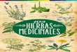 103 HERB EES - FUCOAfucoa.cl/publicaciones/hierbas_medicinales/files/assets/common/... · Importante es señalar que las hierbas medicinales no reemplazan los tratamientos médicos