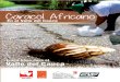 Caracol Africano en el Valle del Cauca - CVC · 2019. 3. 20. · 4 Caracol Africano en el Valle del Cauca 5 Caracol Africano Achatina fulica E s una especie nativa de la costa este
