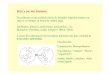FÍSICA DE POLÍMEROS - unizar.es · 2016. 2. 2. · FÍSICA DE POLÍMEROS: Un polímero es una molécula hecha de unidades repetidas unidas con enlaces covalentes en forma de cadena