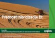 Prednosti hibridizacije žitPrednosti hibridizacije žit Elvira Mijić, Cereals Product Mngr & Technical Exp EET, EET South Cluster HU/ RO/ Balkans 5. Lombergarjev poljedelski posvet,