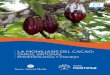LA MONILIASIS DEL CACAO: DAÑOS, SINTOMAS, … · 2020. 10. 29. · una herramienta de consulta para los asistentes técnicos que acompañan a los productores en el manejo de sus