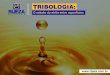 TRIBOLOGIA - Rijeza Metalurgia - Rijeza Metalurgia · 2020. 9. 30. · tribologia é o desgaste. Tradicionalmente são aceitos quatro modos de desgaste: 1. Abrasão 2. Adesão 3