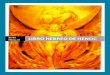 S HEBREO DE HENOCgnosis1.com/libros/sagrados/LIBRO HEBREO DE HENOC.pdf · 2021. 7. 23. · El ángel es castigado por ello CAPÍTULO 16. ... el más poderoso de todos los monarcas,