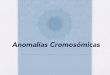 Anomalías Cromosómicas · • Las mutaciones o aberraciones cromosómicas son alteraciones en el número o en la estructura de los cromosomas. Se deben a errores durante la formación