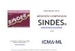 MEDICIÓN COMPARADA SINDES · 2021. 5. 11. · A partir de 2009 SINDES entrega dos reportes semestrales al año. A partir de 2019 20 de los 111 indicadores están vinculados con indicadores