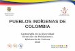 PUEBLOS INDÍGENAS EN COLOMBIA...PUEBLOS INDÍGENAS DE COLOMBIA Cartografía de la Diversidad Dirección de Poblaciones Ministerio de Cultura 2010 Pueblos en Riesgo Auto 04/09 Fundación
