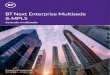 BT Next Enterprise Multisede & MPLS...VERSIONE 8.1 - GENNAIO 2021 BT Next Enterprise Multisede & MPLS GENNAIO 2021