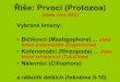 Říše: Prvoci (Protozoa) · 2014. 9. 23. · vakuola pied vyprázdnëním, 2 vakuola po vyprázdnënf, 3 pHvodné kanålky vypråzdnily svüj obsah do novè se tvoiící vakuoly,