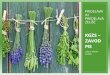 KGZS ZAVOD MS · 2018. 7. 12. · zdravilne rastline 40 - 42oC, baldrijanove korenine in cvetovi 35 - 40oC, rastline z glikozidi 50oC, rastline z alkaloidi in sluzmi 65oC, Naravno