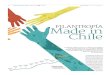 FILANTROPÍA Made in Chile - Patrimonio Cultural de Chile · 2020. 4. 14. · que diferenciar la filantropía de la Responsabilidad Social Empresarial (RSE), las que se complementan