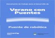 Verano con Puentesdges-cba.edu.ar/wp/wp-content/uploads/2021/01/PUENTE-DE... · 2021. 1. 30. · Programa ACOMPAÑAR: Puentes de igualdad A continuación, una reseña sintética de