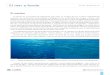 El mar a fondo Guía didáctica · 2018. 4. 11. · 5 El mar a fondo Guía didáctica Migraciones horizontales Otros animales, como las ballenas, realizan en grupo grandes desplazamientos