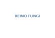REINO FUNGI · 2018. 2. 19. · Hongos inferiores. Se reproducen asexualmente por medio de esporas almacenadas en unas estructuras llamadas esporangios. Ejemplos de hongos inferiores